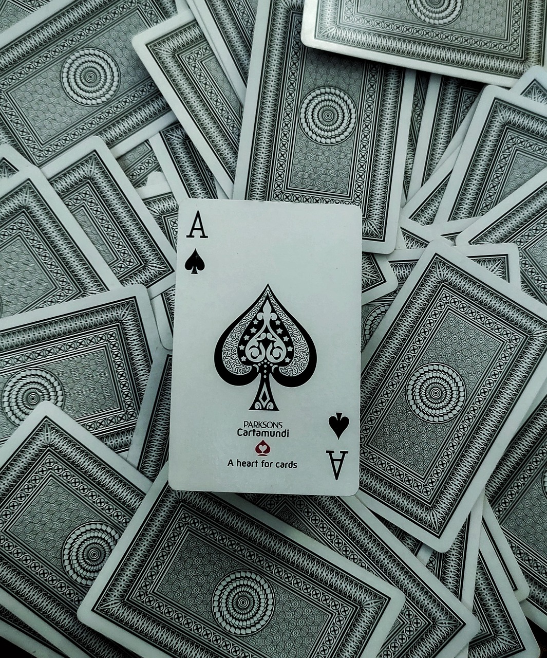 ace of spades, cards, playing cards, ace, spades, cardistry, magic, closeup, playing cards, ace, ace, ace, ace, ace, spades